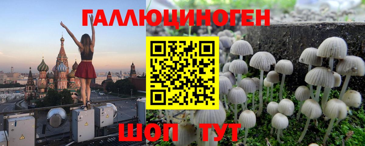 Псилоцибиновые грибы MAGIC MUSHROOMS  Вход с VPN  сколько стоит  Чехов 